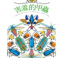 Load image into Gallery viewer, A Beetle is Shy害羞的甲蟲
