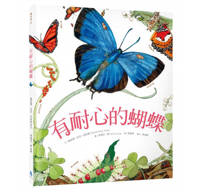A Butterfly is Patient 有耐心的蝴蝶
