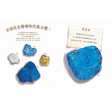 Load image into Gallery viewer, A rock is Lively 活生生的石頭
