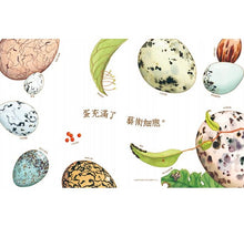 Load image into Gallery viewer, An Egg is Quiet 靜悄悄的蛋
