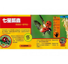 Load image into Gallery viewer, National Geographic Little Kids/Bugs 國家地理小小昆蟲探險家
