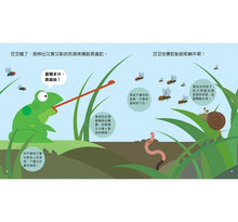 Load image into Gallery viewer, Animal Growth Story: Frog  動物成長小故事：青蛙豆豆
