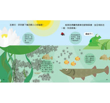 Load image into Gallery viewer, Animal Growth Story: Frog  動物成長小故事：青蛙豆豆
