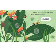Load image into Gallery viewer, Animal Growth Story: Caterpillars 成長小故事：毛毛蟲多多
