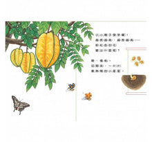 Load image into Gallery viewer, Grow Up Little Seed (Fruits) 小種子，快長大（水果篇）
