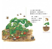 Load image into Gallery viewer, Grow Up Little Seed (Fruits) 小種子，快長大（水果篇）
