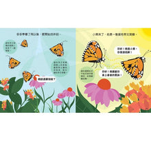 Load image into Gallery viewer, Animal Growth Story: Caterpillars 成長小故事：毛毛蟲多多
