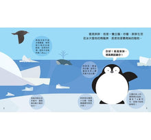 Load image into Gallery viewer, Animal Growth Story: Penguin成長小故事: 企鵝胖胖
