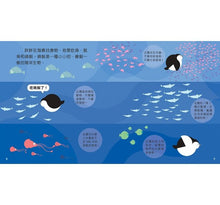 Load image into Gallery viewer, Animal Growth Story: Penguin成長小故事: 企鵝胖胖
