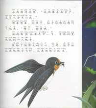 Load image into Gallery viewer, All the Living Birds in Haven and on Earth ／6 Books 禽鳥天地間
