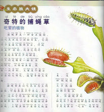 Load image into Gallery viewer, Plant Magicians 6 Books 植物魔法師
