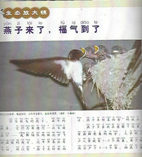 Load image into Gallery viewer, All the Living Birds in Haven and on Earth ／6 Books 禽鳥天地間
