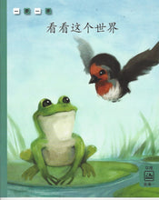 Load image into Gallery viewer, Step by Step Chinese Readers-Traditional Level C 一步一步
