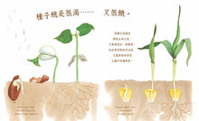Load image into Gallery viewer, A Seed is Sleepy 沉睡中的種子
