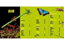 Load image into Gallery viewer, National Geographic Little Kids/Bugs 國家地理小小昆蟲探險家
