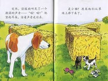 Load image into Gallery viewer, I Love to Read Chinese-Detective Dog 侦探狗 Band 5(4 Books + CD-ROM)
