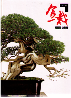 The Ancient Art of Bonsai盆栽