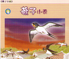 Load image into Gallery viewer, All the Living Birds in Haven and on Earth ／6 Books 禽鳥天地間
